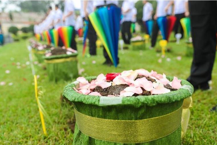 1588816850941875.jpg 4.jpg