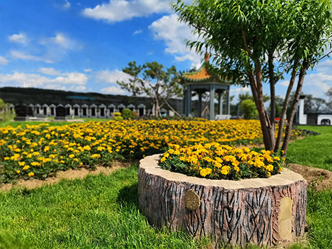 1657522134890227.jpg 抚顺墓园实景.jpg