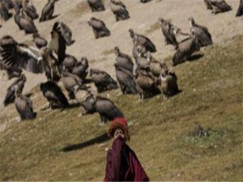 1677830882918032.jpg 抚顺公墓.jpg