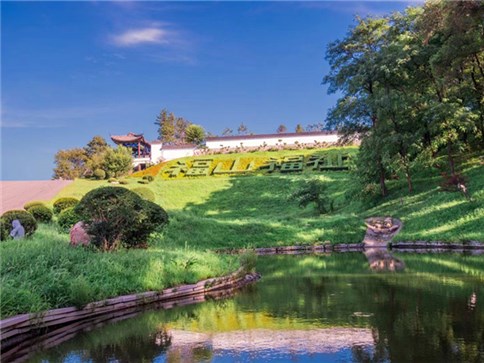 1678693769348075.jpg 5.jpg