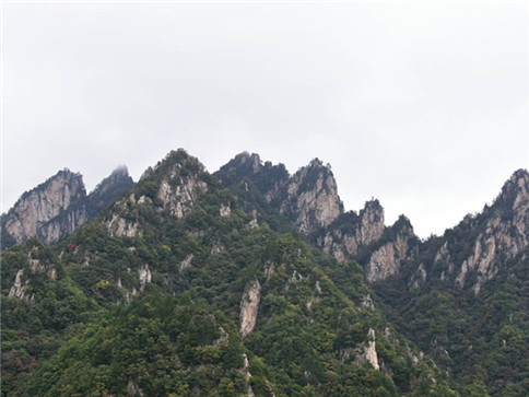 1678770615208008.jpg 抚顺墓地.jpg