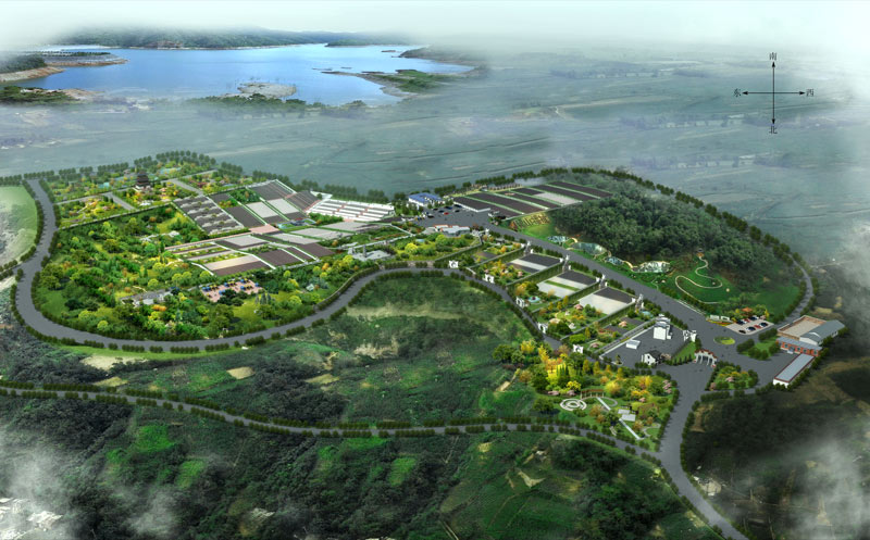 1769131408880007.jpg 1.jpg